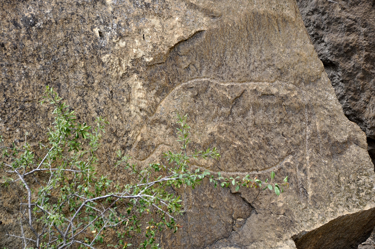 Gobustan - witness of ancient history of Azerbaijan (PHOTO)