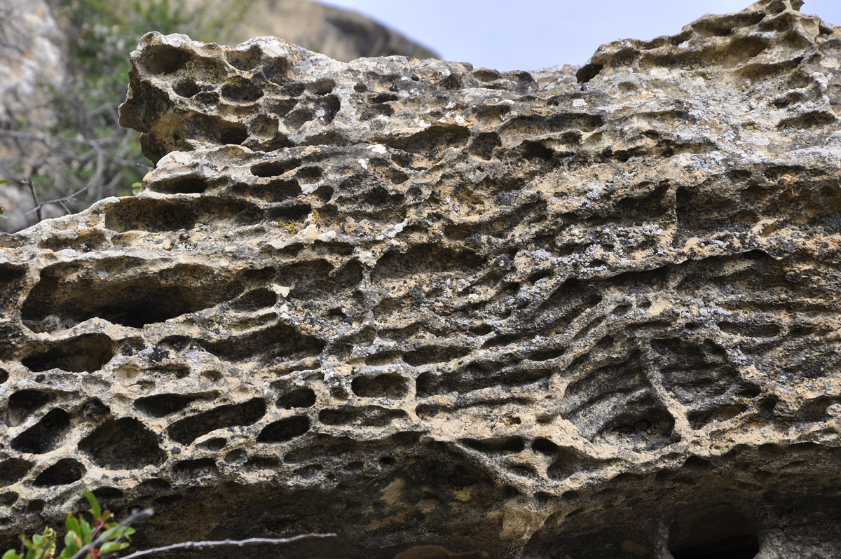 Gobustan - witness of ancient history of Azerbaijan (PHOTO)