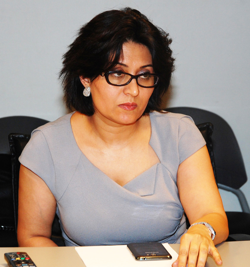 Human rights activists adopt appeal to protest anti-Azerbaijani campaign on eve of European Games (PHOTO)