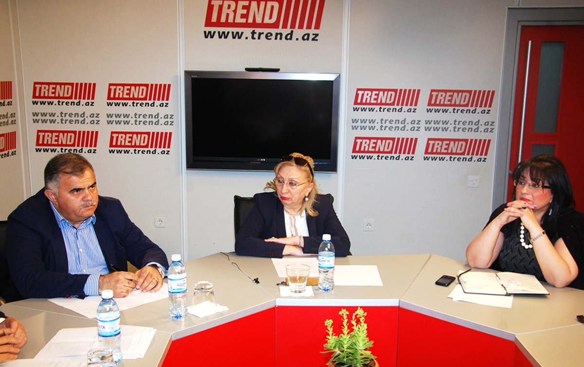 Human rights activists adopt appeal to protest anti-Azerbaijani campaign on eve of European Games (PHOTO)