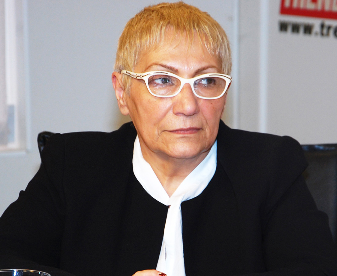 Human rights activists adopt appeal to protest anti-Azerbaijani campaign on eve of European Games (PHOTO)
