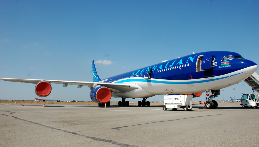 Baku-Istanbul flight delayed as plane collides with bird flock