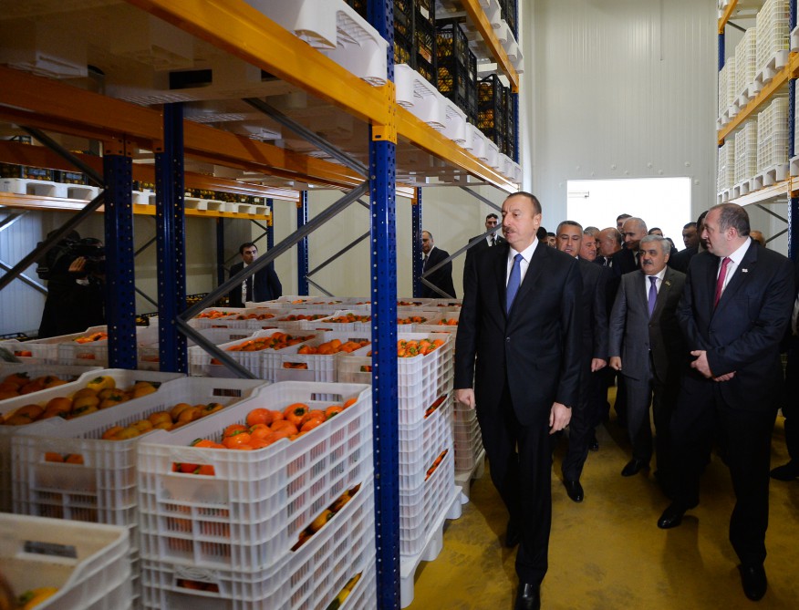 Azerbaijani, Georgian presidents review cold storage complex in Marneuli