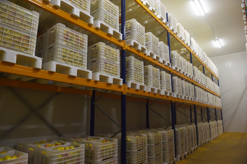Azerbaijani, Georgian presidents review cold storage complex in Marneuli