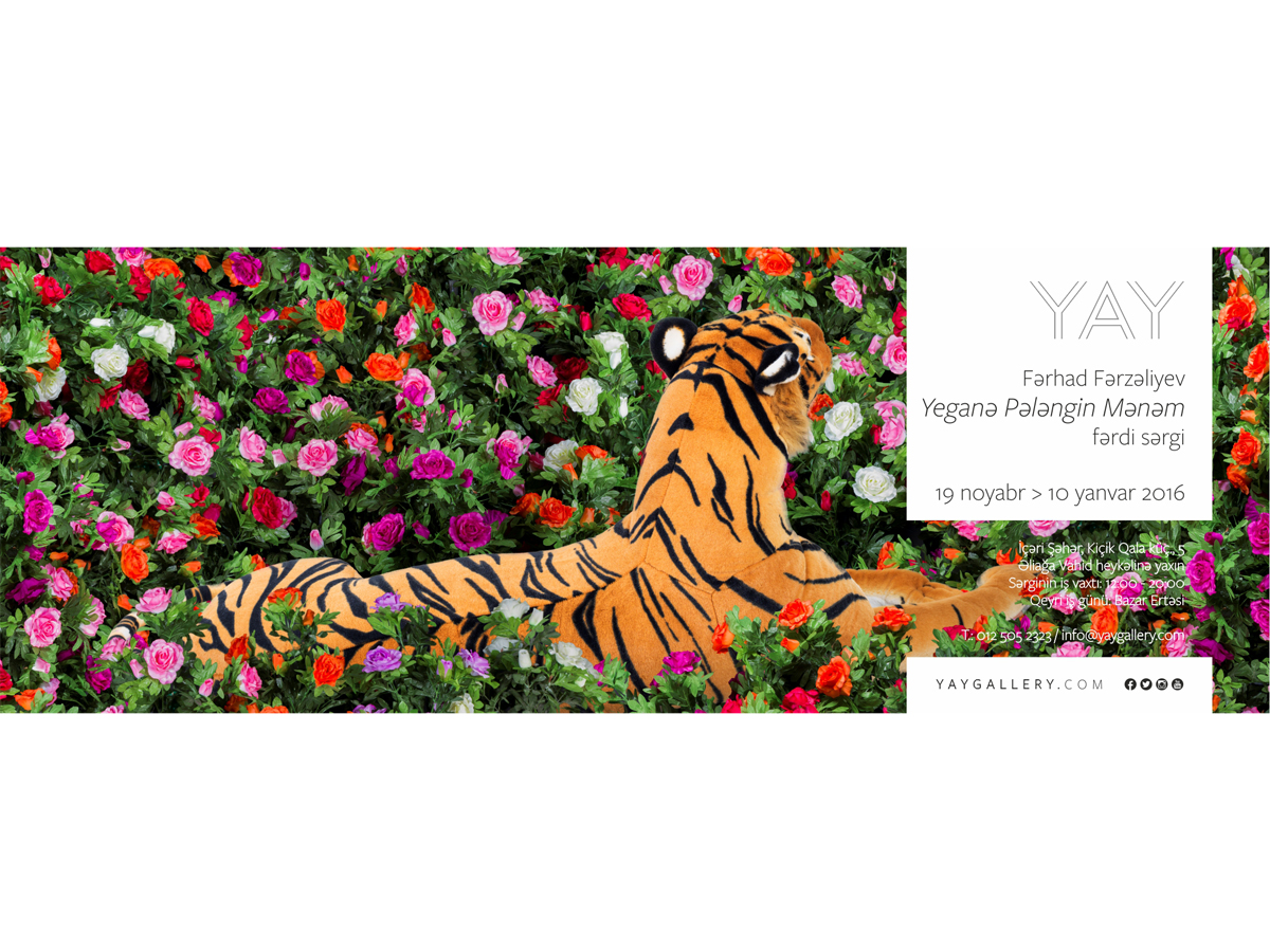 Yay Gallery to open “I Am Your Only Tiger” exhibition by Farhad Farzaliyev
