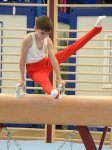 All-around competitions in men’s artistic gymnastics kick off in Baku (PHOTO)