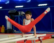 All-around competitions in men’s artistic gymnastics kick off in Baku (PHOTO)