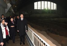 President Ilham Aliyev views Terracotta Army Museum in China