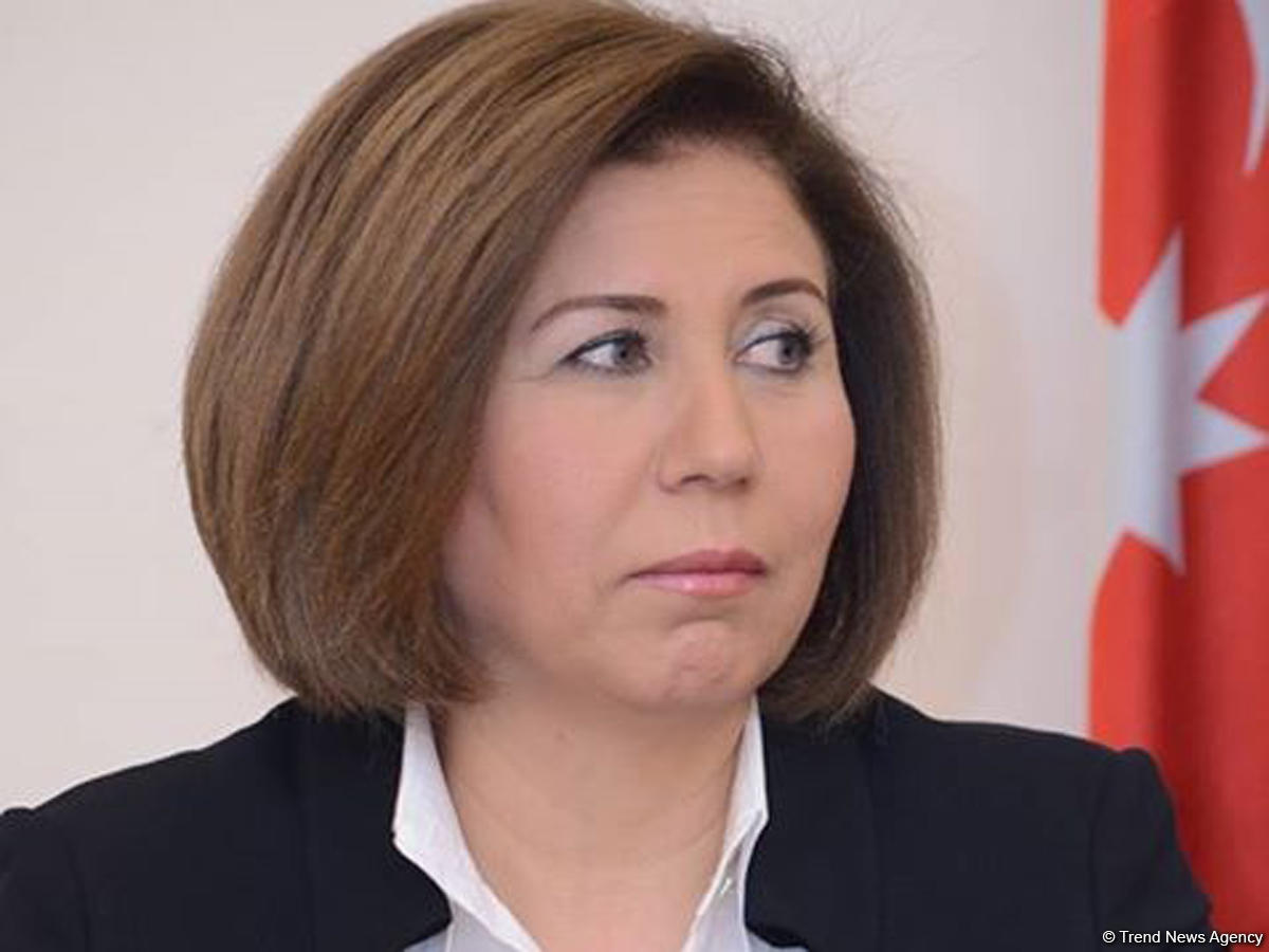 "OSCE PA rep on South Caucasus called Armenian provocation attempt on civilians’ life"