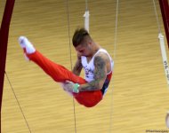 Azerbaijani gymnasts perform at FIG World Challenge Cup (PHOTO)