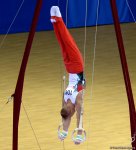 Azerbaijani gymnasts perform at FIG World Challenge Cup (PHOTO)