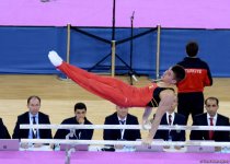 Day 2 ends at FIG Artistic Gymnastics World Challenge Cup in Baku (PHOTO)