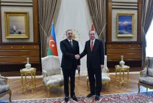 Azerbaijani, Turkish presidents hold one-on-one meeting