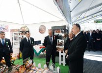 President Ilham Aliyev with spouse join nationwide festivities on occasion of Novruz (PHOTO)