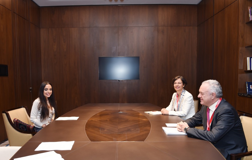 Vice-president of Heydar Aliyev Foundation meets with FAO officials