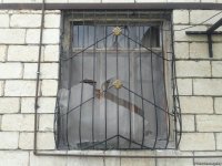 Armenia continues aggression against Azerbaijan (PHOTOS)