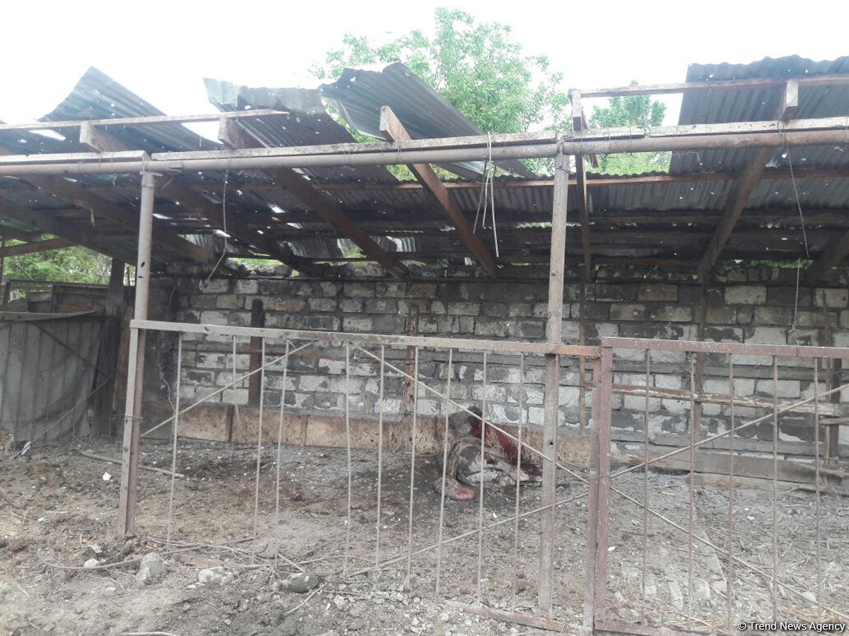 Armenia continues aggression against Azerbaijan (PHOTOS)