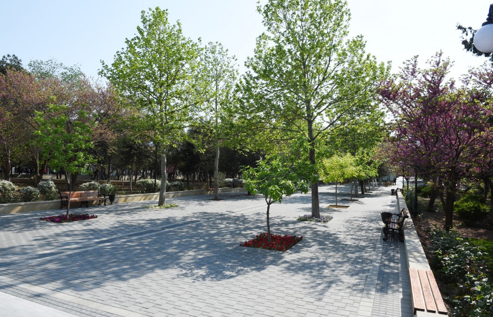 President Ilham Aliyev views conditions created in Heydar Garden