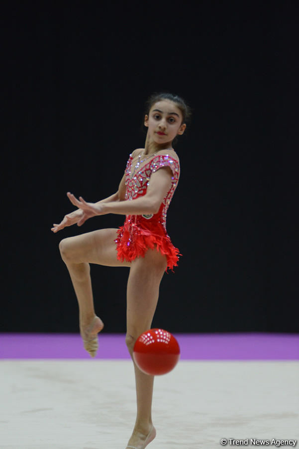 Azerbaijani gymnasts prepare for European championships in Israel (PHOTOS)