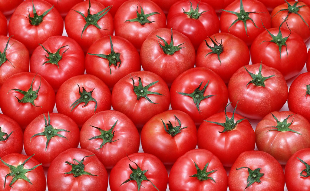 Uzbekistan’s export of tomatoes significantly increases