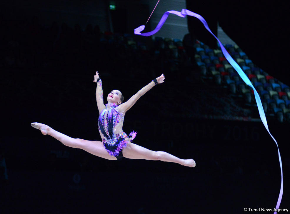 US delegation praises organization of FIG World Cup Final in Baku
