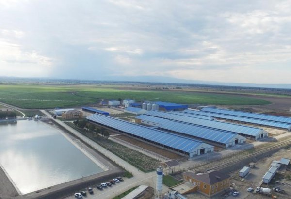 Official: By end of 2018, 12 more agroparks to open in Azerbaijan