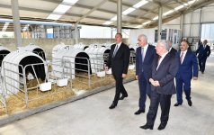 Ilham Aliyev inaugurates Yalama Agropark