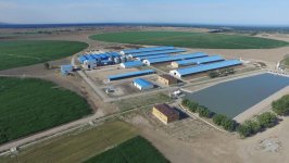 Ilham Aliyev inaugurates Yalama Agropark