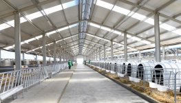 Ilham Aliyev inaugurates Yalama Agropark