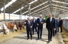 Ilham Aliyev inaugurates Yalama Agropark