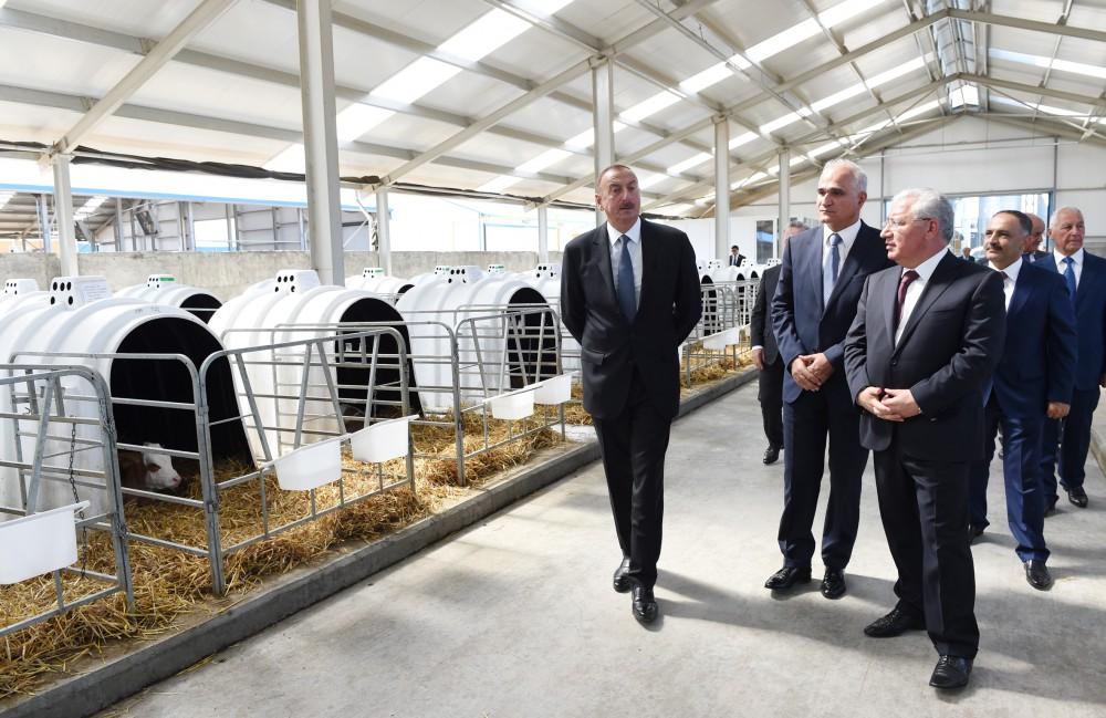 Ilham Aliyev inaugurates Yalama Agropark