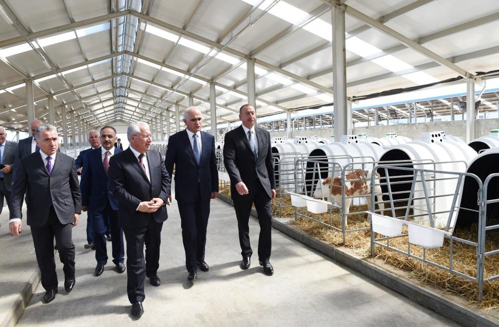 Ilham Aliyev inaugurates Yalama Agropark
