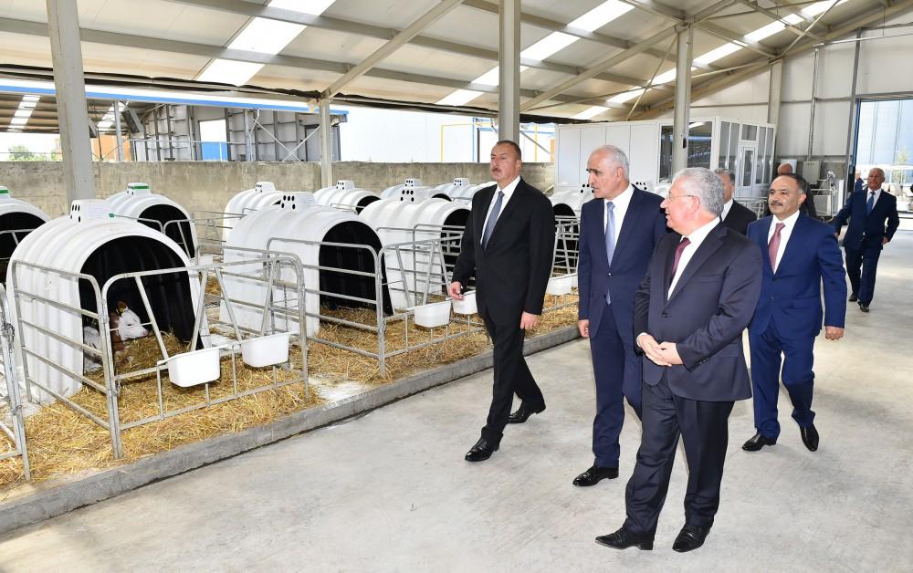 Ilham Aliyev inaugurates Yalama Agropark