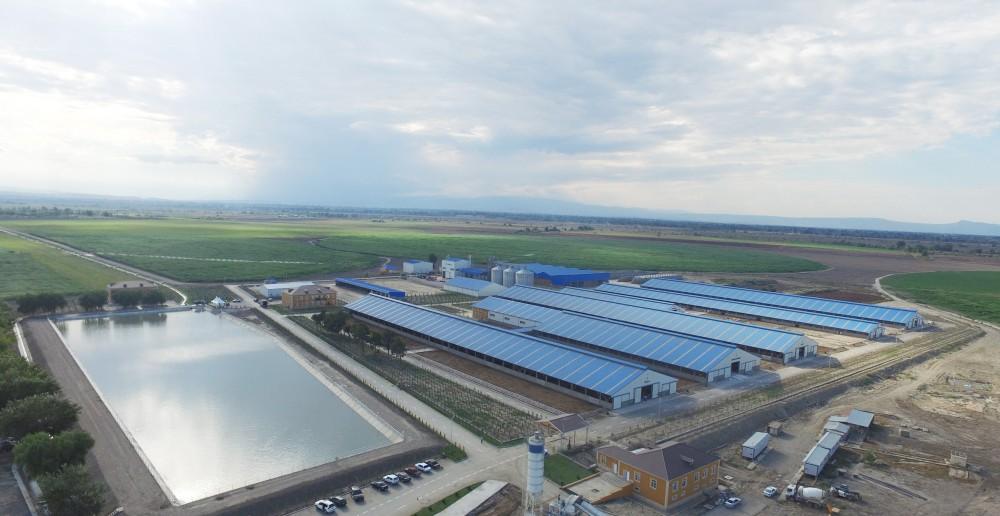 Official: By end of 2018, 12 more agroparks to open in Azerbaijan