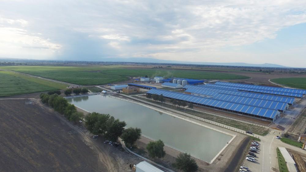 Ilham Aliyev inaugurates Yalama Agropark