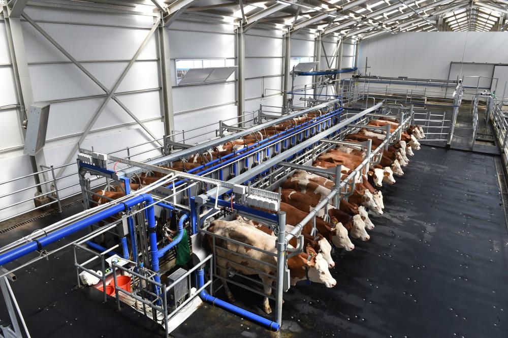 Ilham Aliyev inaugurates Yalama Agropark