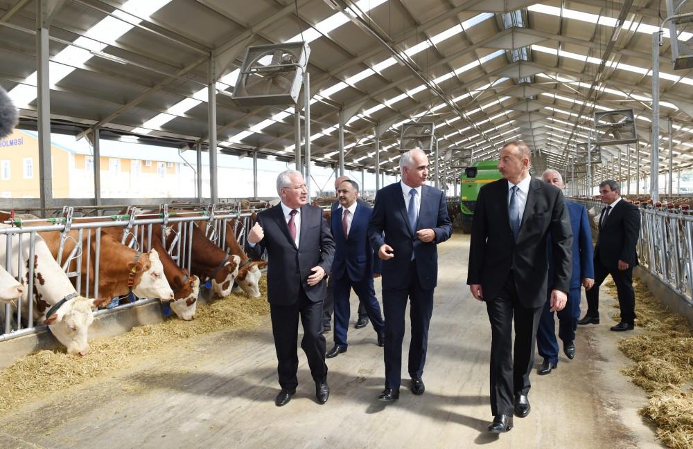 Ilham Aliyev inaugurates Yalama Agropark