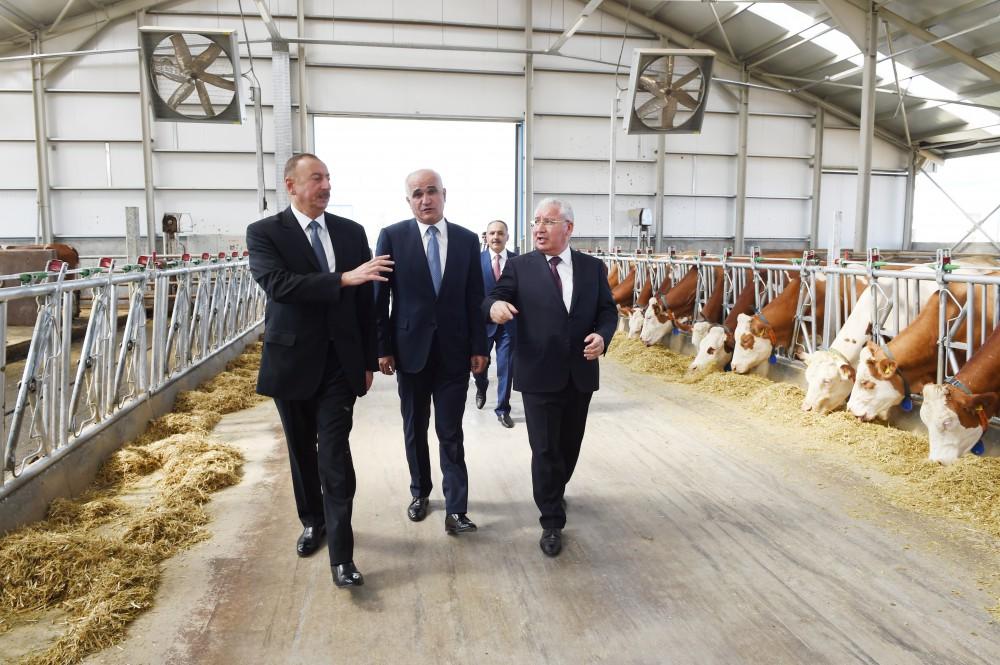 Ilham Aliyev inaugurates Yalama Agropark