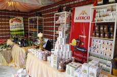 Mehriban Aliyeva at opening of Azerbaijani Village in Paris (PHOTO)
