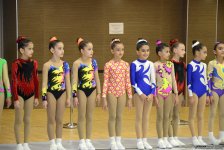 Aerobic gymnastics championship underway in Baku (PHOTO)