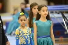 Aerobic gymnastics championship underway in Baku (PHOTO)