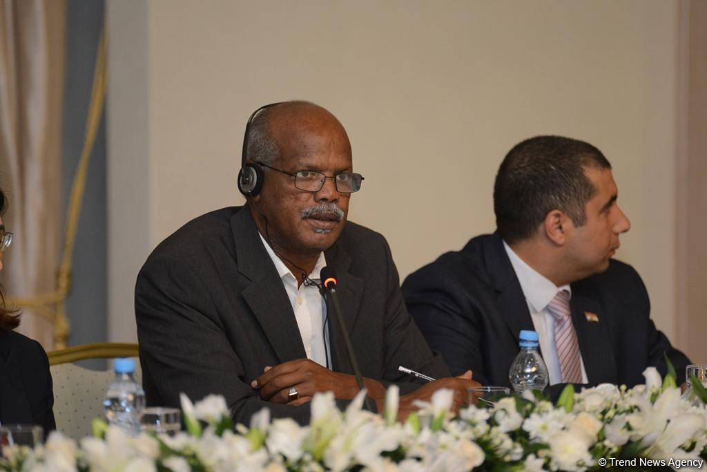 Baku may host founding conference of OIC journalists platform (PHOTO)