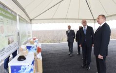 Ilham Aliyev visits “Qarabag Taxil” LLC pilot grain farm in Beylagan