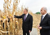 Ilham Aliyev visits “Qarabag Taxil” LLC pilot grain farm in Beylagan
