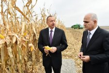 Ilham Aliyev visits “Qarabag Taxil” LLC pilot grain farm in Beylagan