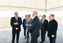 Ilham Aliyev visits “Qarabag Taxil” LLC pilot grain farm in Beylagan
