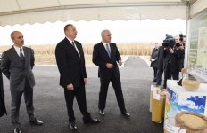 Ilham Aliyev visits “Qarabag Taxil” LLC pilot grain farm in Beylagan