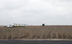 Ilham Aliyev visits “Qarabag Taxil” LLC pilot grain farm in Beylagan