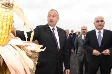 Ilham Aliyev visits “Qarabag Taxil” LLC pilot grain farm in Beylagan