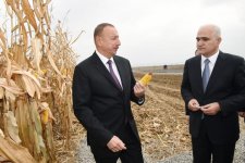 Ilham Aliyev visits “Qarabag Taxil” LLC pilot grain farm in Beylagan
